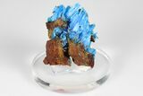 Vibrant Blue Chalcanthite - Planet Mine, Arizona #185971-1